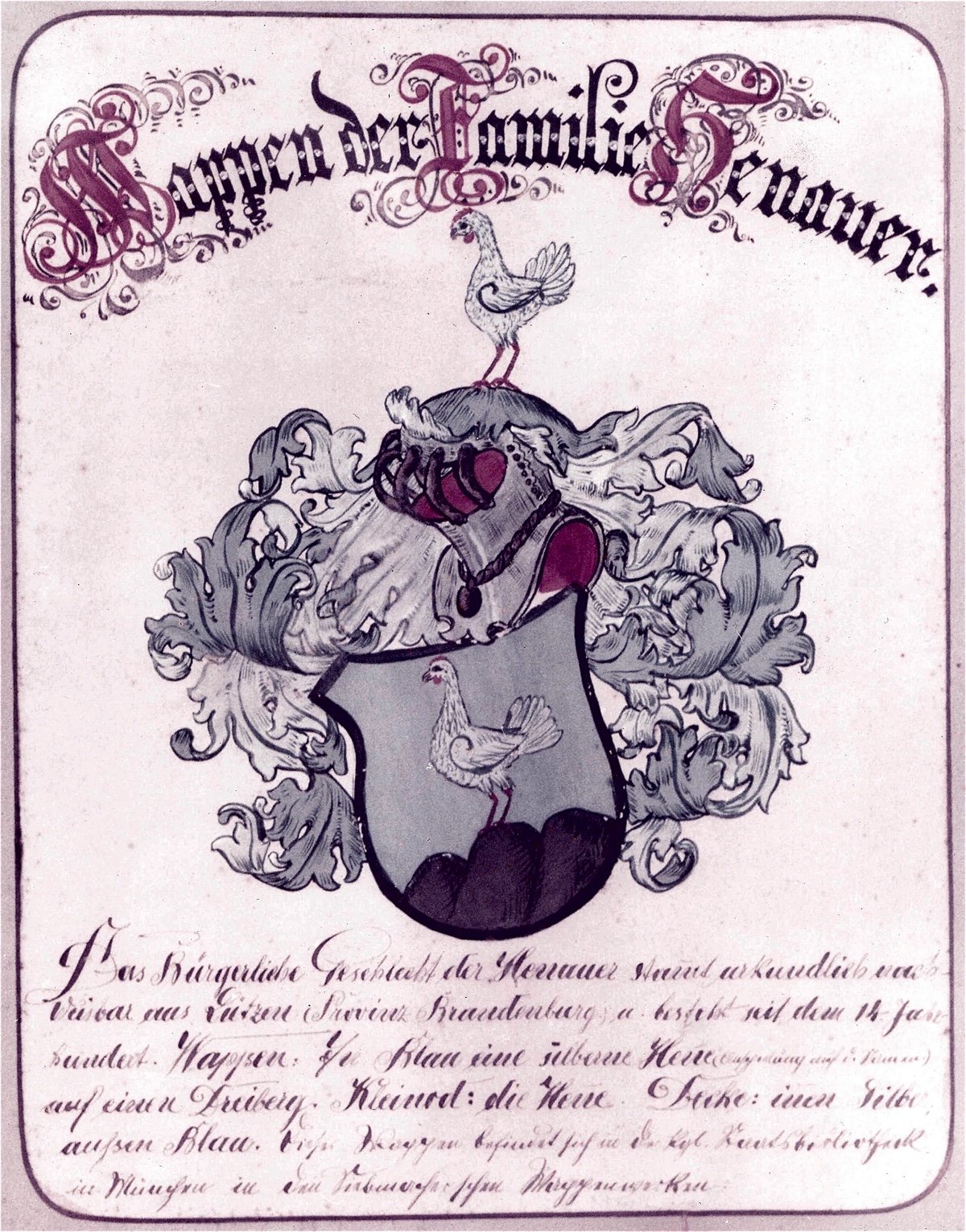 Wappen Henauer